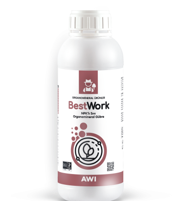 BestWork