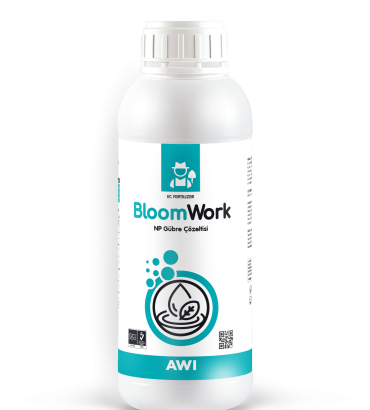 BloomWork