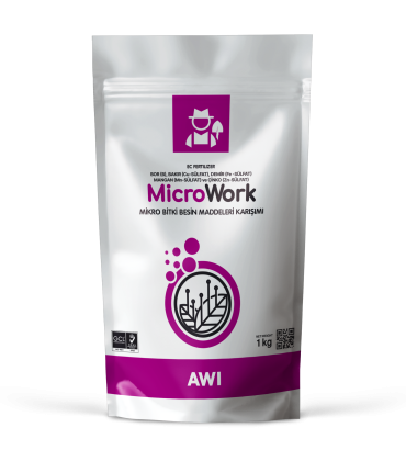 MicroWork