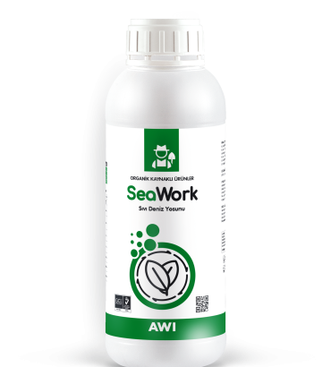 SeaWork