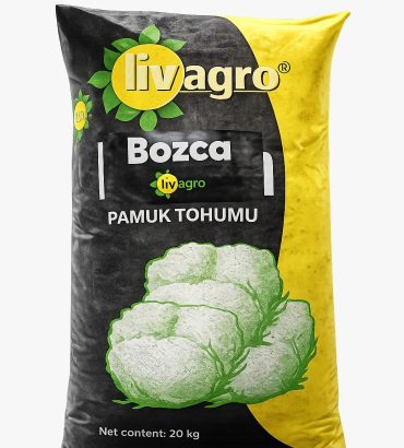 Bozca