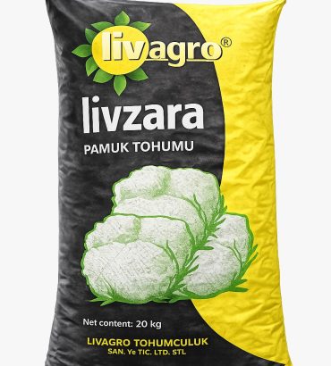 Livzara