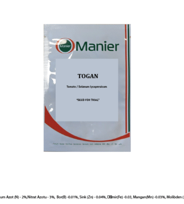 Togan