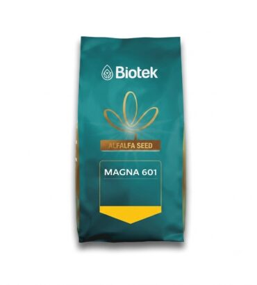 Magna 601