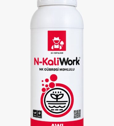 N-KaliWork