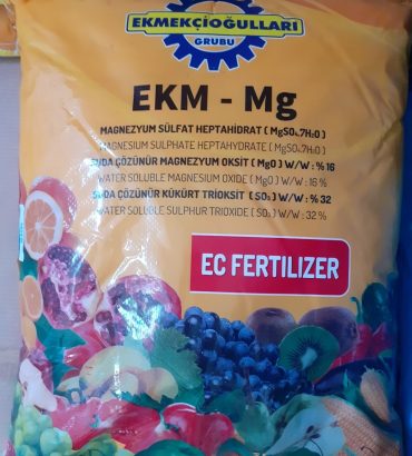 Magnesium Sulfat