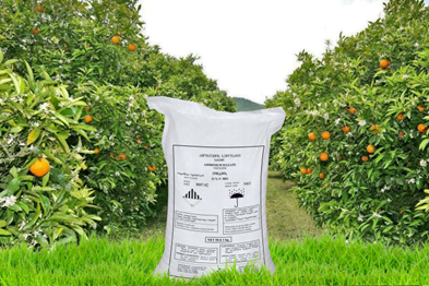 Ammonium Sulfat NS 21:24