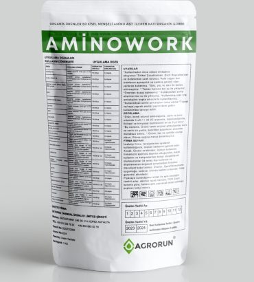 N-KaliWork